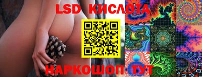 mdma Шебекино