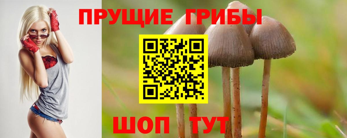 Псилоцибиновые грибы Psilocybine cubensis  Вход с VPN  Галлюциногенные грибы Cubensis  Азнакаево 
